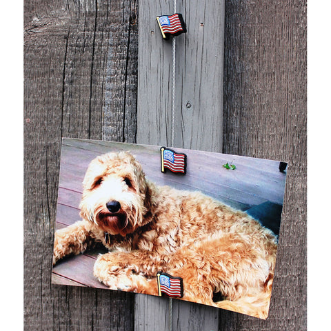 Image of USA Flag My Mighty Magnet System - The simple and creative way to display pictures, cards or whatever matters to you using super strong Mighty Magnets.