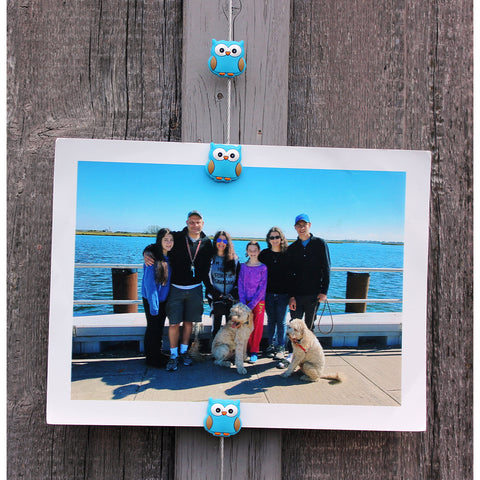 Image of Blue Owl My Mighty Magnet System - The simple and creative way to display pictures, cards or whatever matters to you using super strong Mighty Magnets.