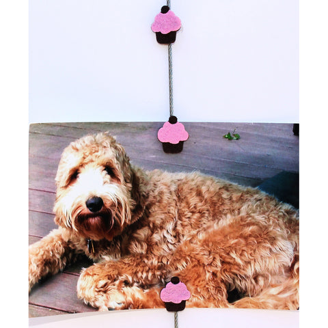 Image of Cupcake My Mighty Magnet System - The simple and creative way to display pictures, cards or whatever matters to you using super strong Mighty Magnets.