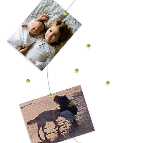 Image of Green Gem My Mighty Magnet System - The simple and creative way to display pictures, cards or whatever matters to you using super strong Mighty Magnets.