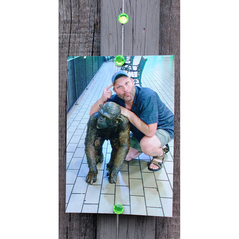 Image of Green Gem My Mighty Magnet System - The simple and creative way to display pictures, cards or whatever matters to you using super strong Mighty Magnets.