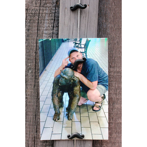 Image of Mustache My Mighty Magnet System - The simple and creative way to display pictures, cards or whatever matters to you using super strong Mighty Magnets.