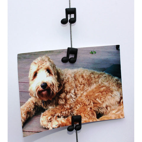 Image of Music Notes - My Mighty Magnet System - The simple and creative way to display pictures, cards or whatever matters to you using super strong Mighty Magnets.