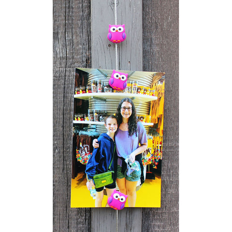 Image of Pink Owl My Mighty Magnet System - The simple and creative way to display pictures, cards or whatever matters to you using super strong Mighty Magnets.