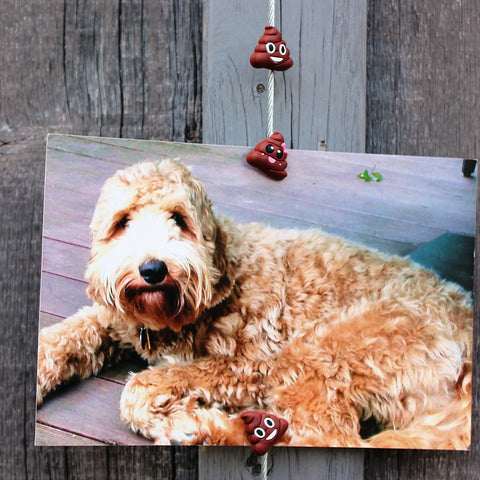 Image of Poop Emoji My Mighty Magnet System - The simple and creative way to display pictures, cards or whatever matters to you using super strong Mighty Magnets.