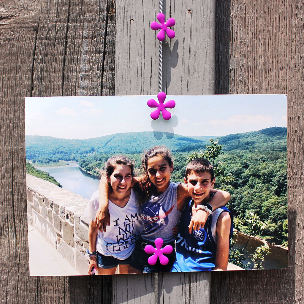 Purple Hippy Flower My Mighty Magnet System - The simple and creative way to display pictures, cards or whatever matters to you using super strong Mighty Magnets.