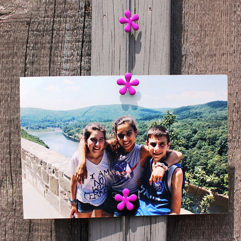 Image of Purple Hippy Flower My Mighty Magnet System - The simple and creative way to display pictures, cards or whatever matters to you using super strong Mighty Magnets.