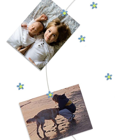 Image of Blue Hippy Flower My Mighty Magnet System - The simple and creative way to display pictures, cards or whatever matters to you using super strong Mighty Magnets.